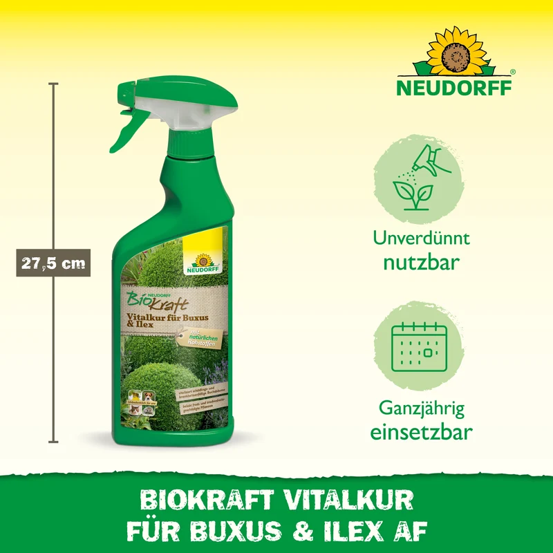 Neudorff BioKraft Vitalkur für Buxus & Ilex