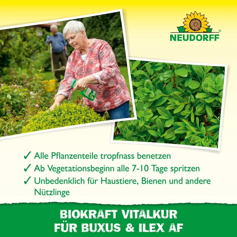 Neudorff BioKraft Vitalkur für Buxus & Ilex