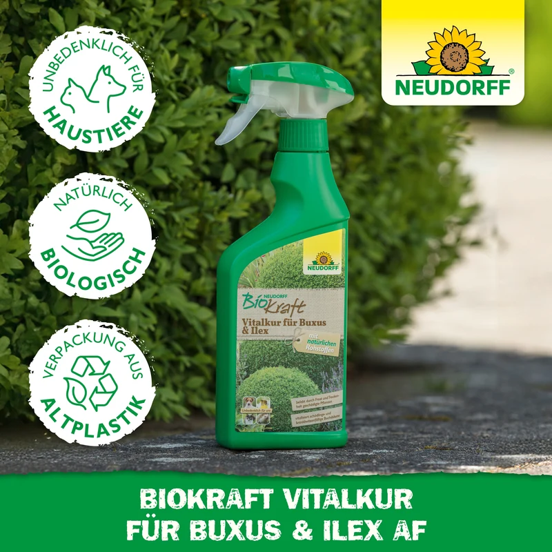 Neudorff BioKraft Vitalkur für Buxus & Ilex