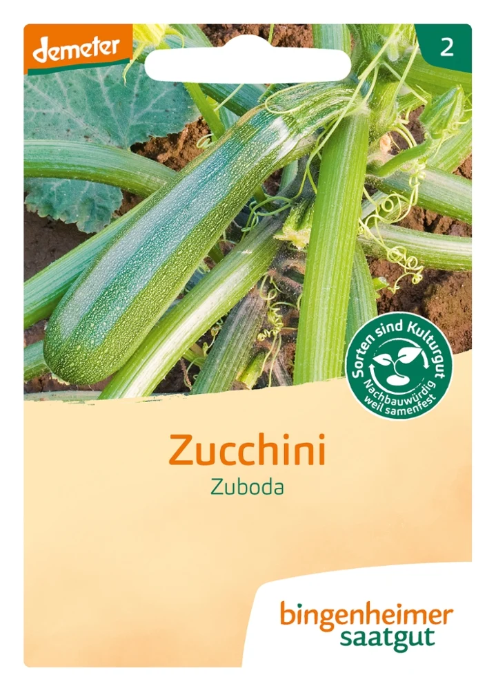 BIO Saatgut Zucchini Zuboda
