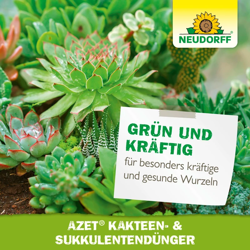 Neudorff Azet Kakteen- & SukkulentenDünger