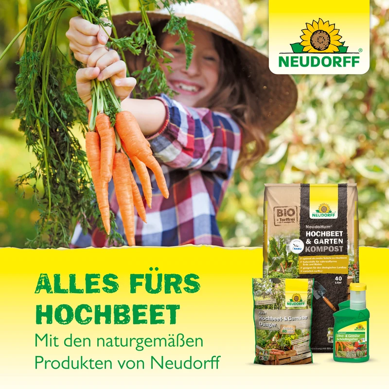 Neudorff Azet Hochbeet- & GemüseDünger