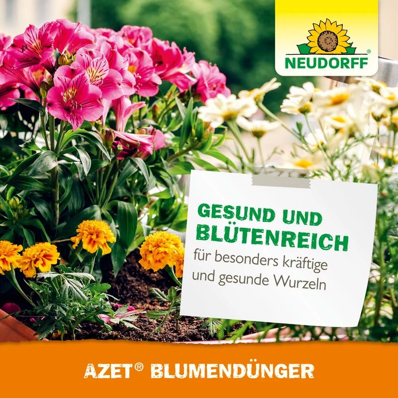 Neudorff Azet BlumenDünger