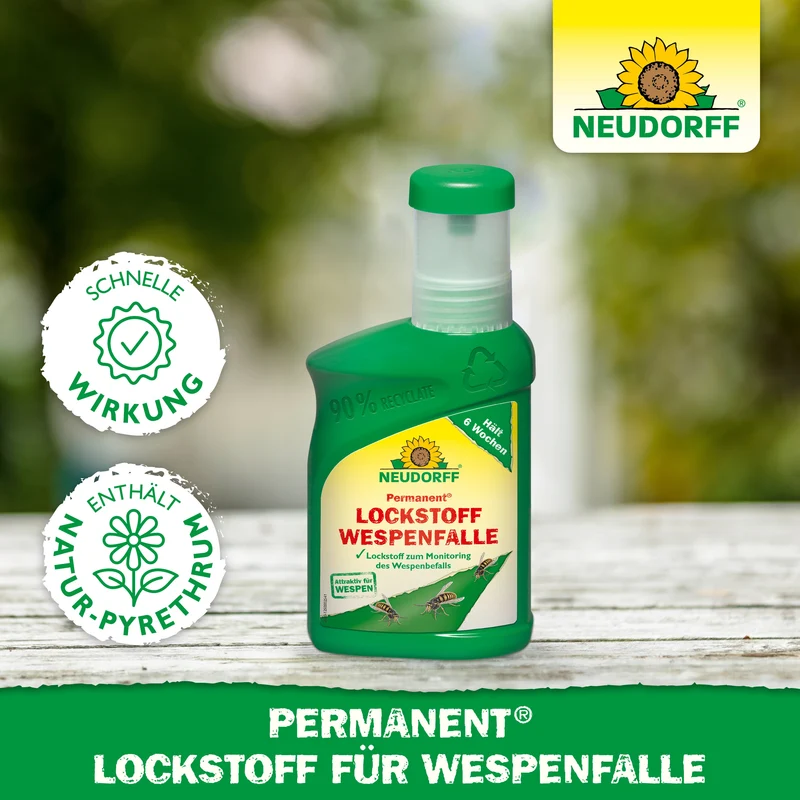 Neudorff Permanent Lockstoff WespenFalle