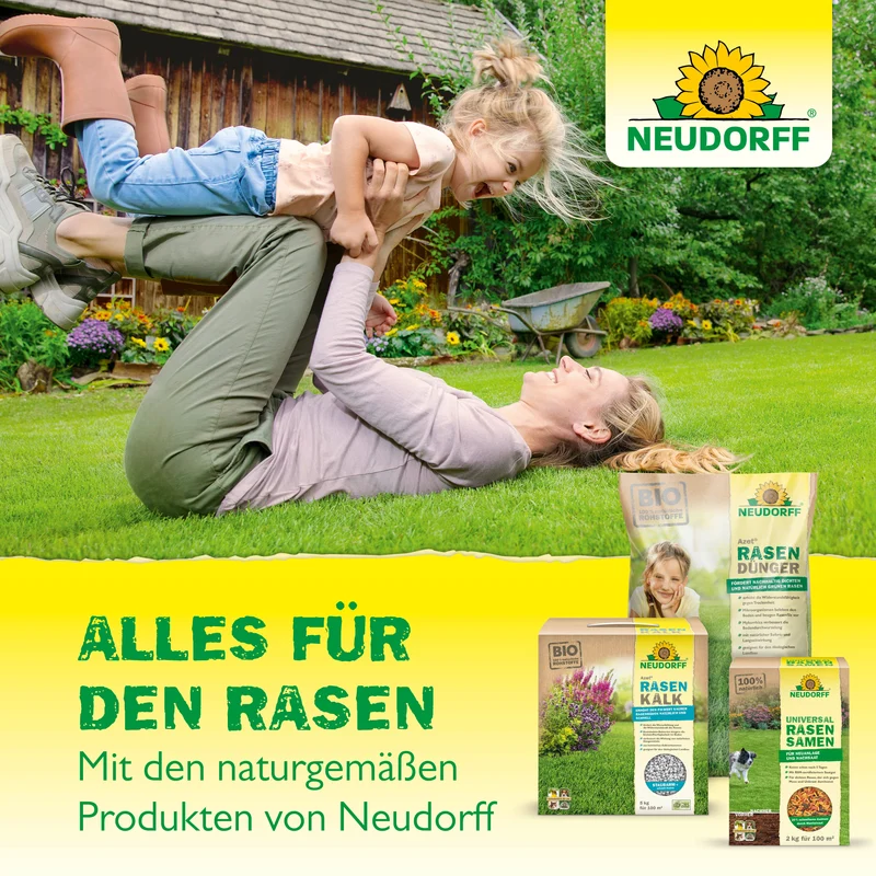 Neudorff Rasenreparatur LückenLos