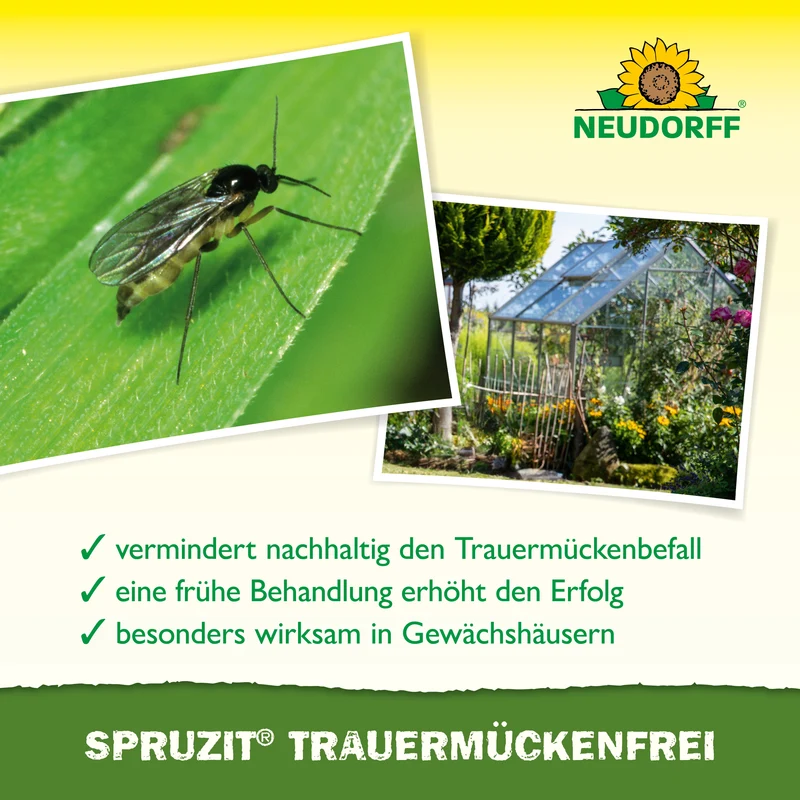 Neudorff Spruzit Trauermückenfrei
