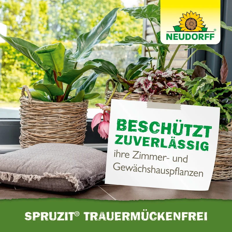 Neudorff Spruzit Trauermückenfrei