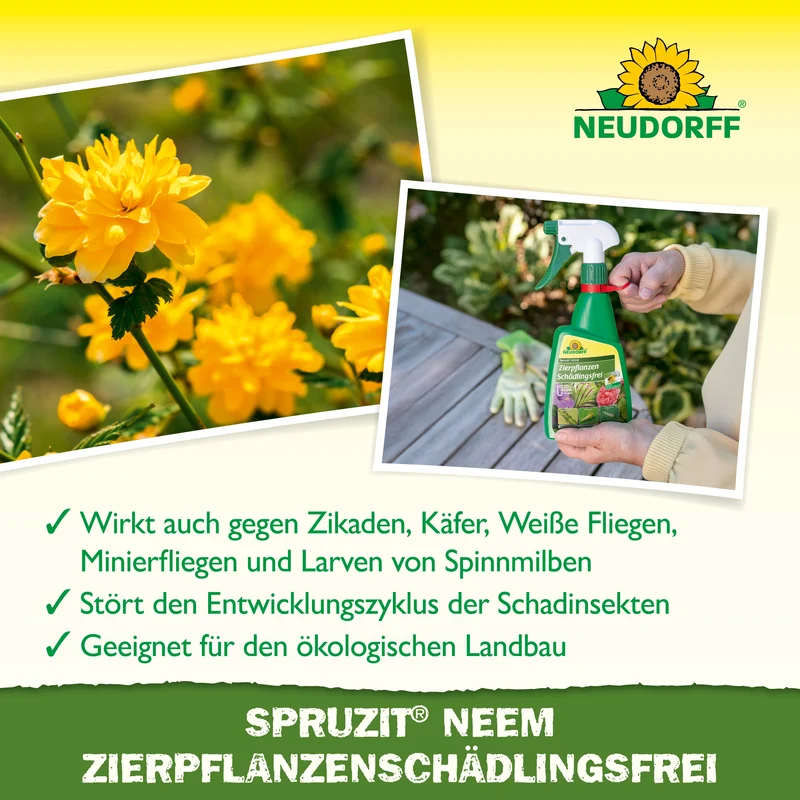 Neudorff Spruzit NEEM ZierpflanzenSchädlingsfrei