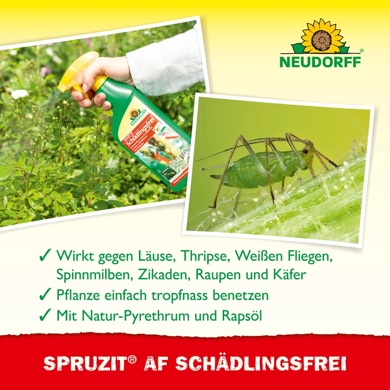 Neudorff Spruzit AF Schädlingsfrei
