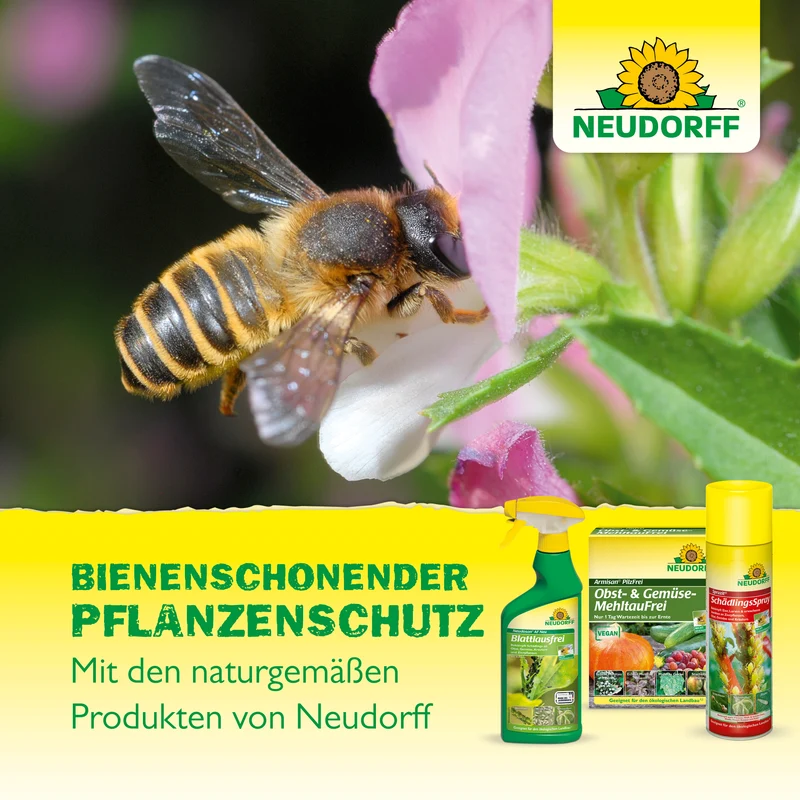 Neudorff Spruzit AF Schädlingsfrei