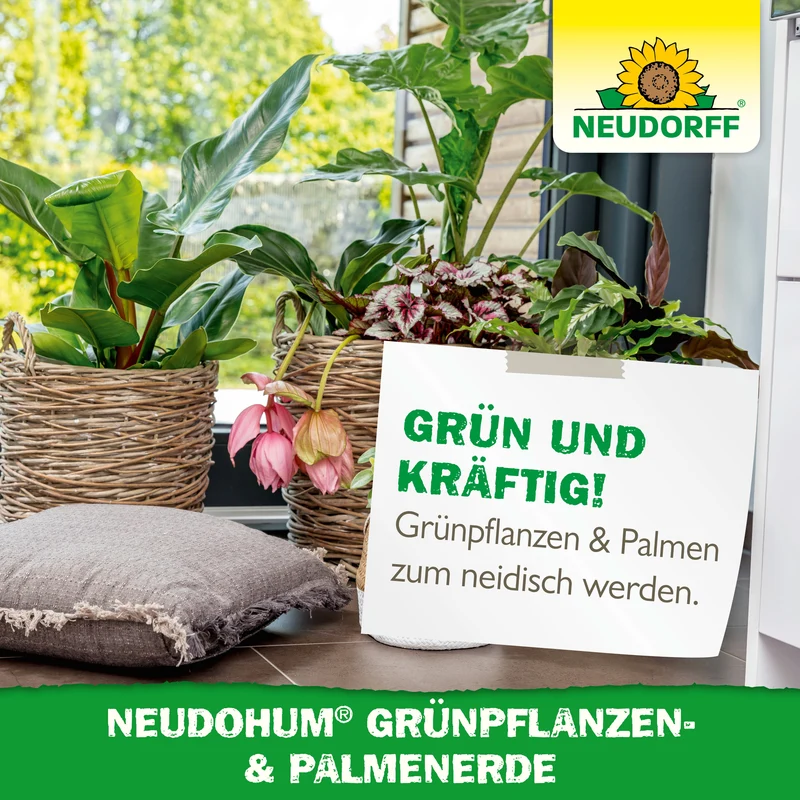 Neudorff NeudoHum Grünpflanzen- & PalmenErde