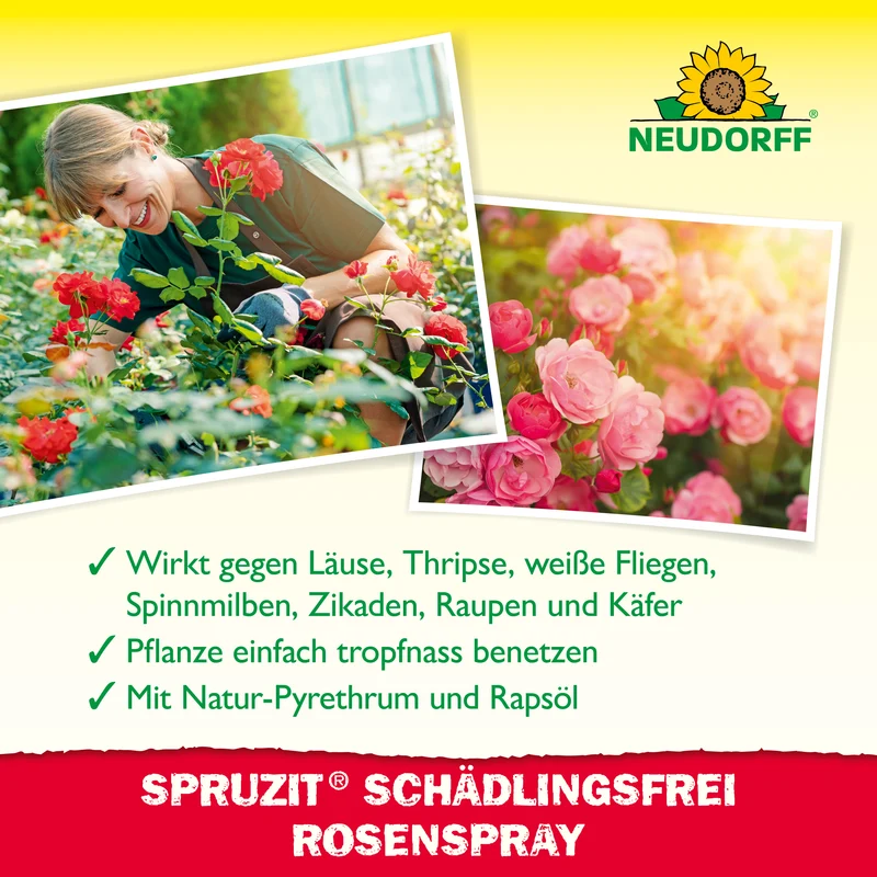 Neudorff Spruzit AF Schädlingsfrei RosenSpray
