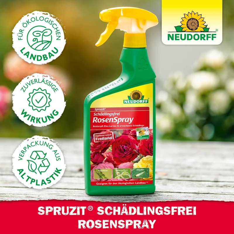 Neudorff Spruzit AF Schädlingsfrei RosenSpray