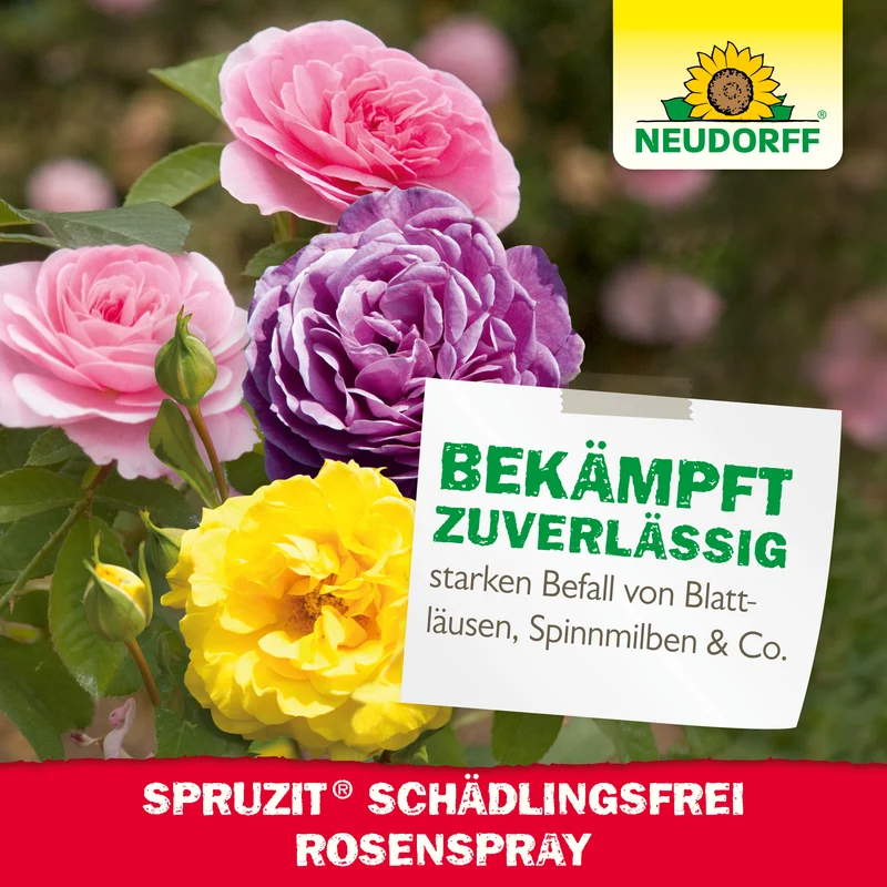 Neudorff Spruzit AF Schädlingsfrei RosenSpray