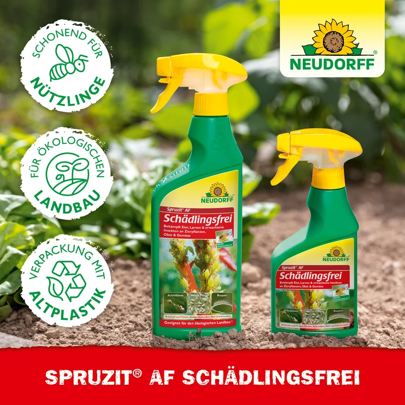 Neudorff Spruzit AF Schädlingsfrei gegen Blattläuse, Thripse, Buchsbaumzünsler