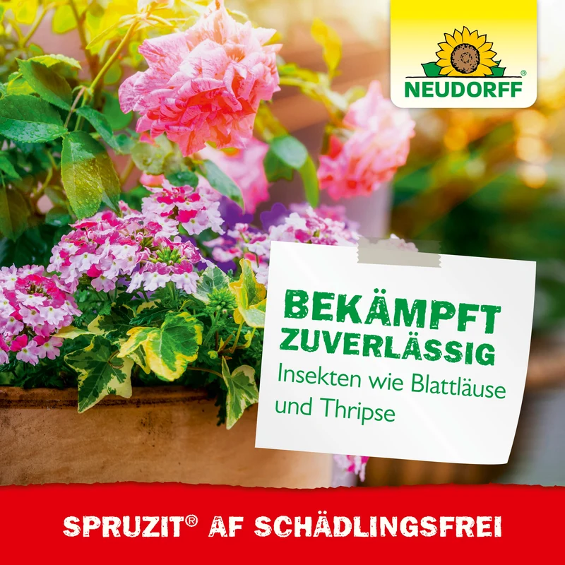 Neudorff Spruzit AF Schädlingsfrei gegen Blattläuse, Thripse, Buchsbaumzünsler