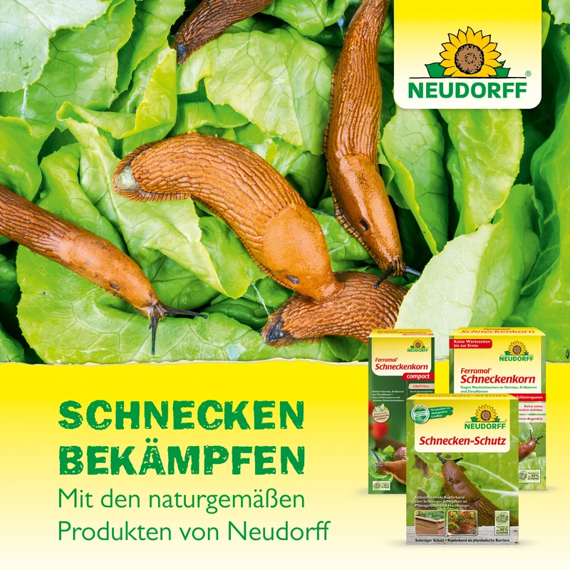 Neudorff Ferramol Schneckenkorn