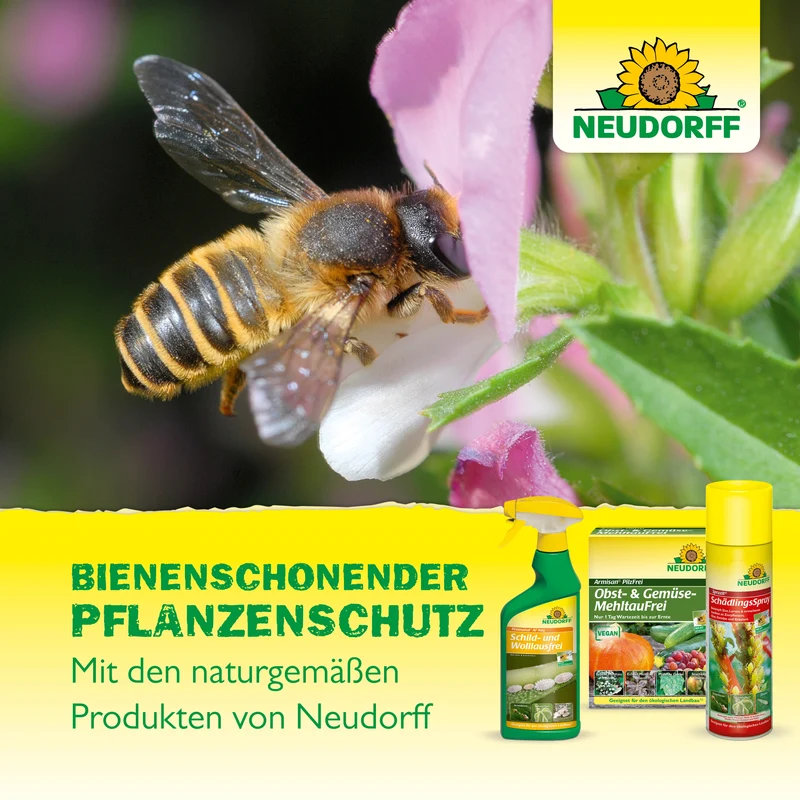 Neudorff Neudosan AF Neu Blattlausfrei
