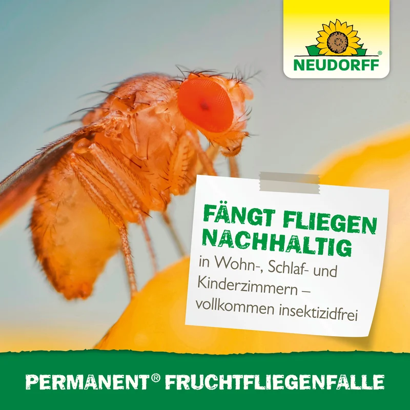 Neudorff Permanent FruchtfliegenFalle
