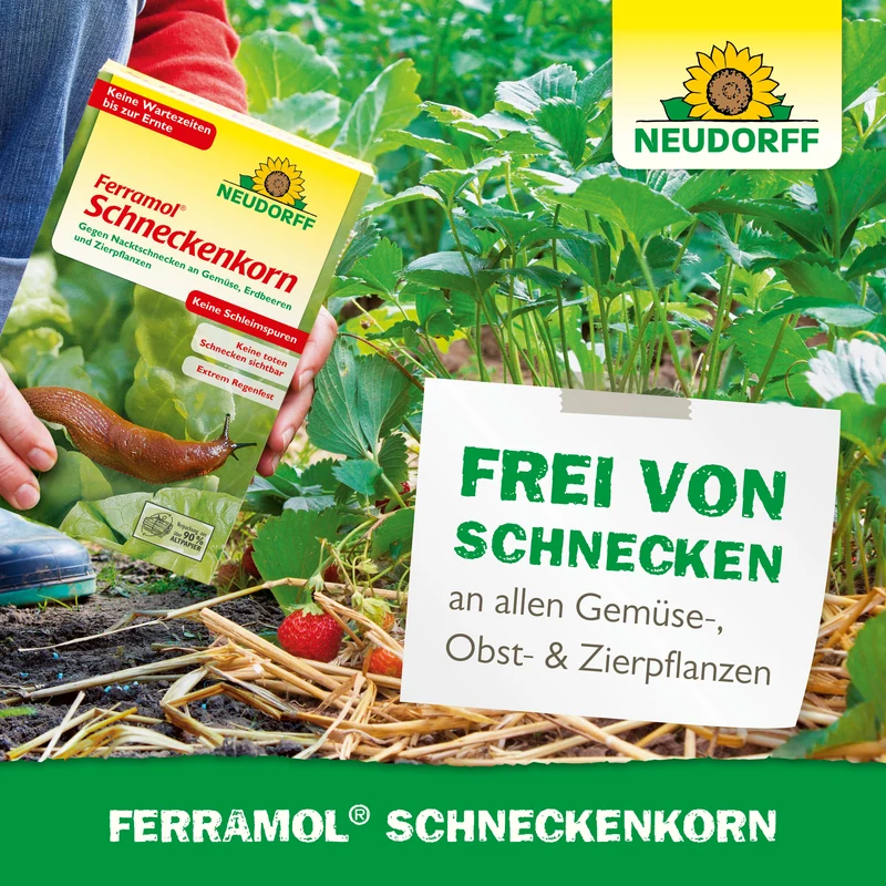 Neudorff Ferramol Schneckenkorn
