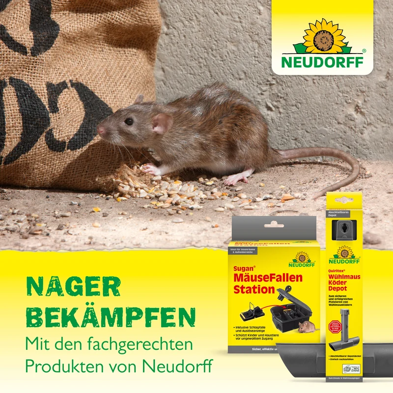 Neudorff SpinnenStopp