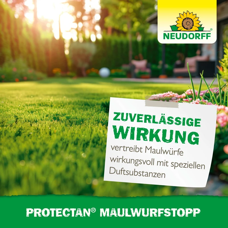 Neudorff Protectan MaulwurfStopp