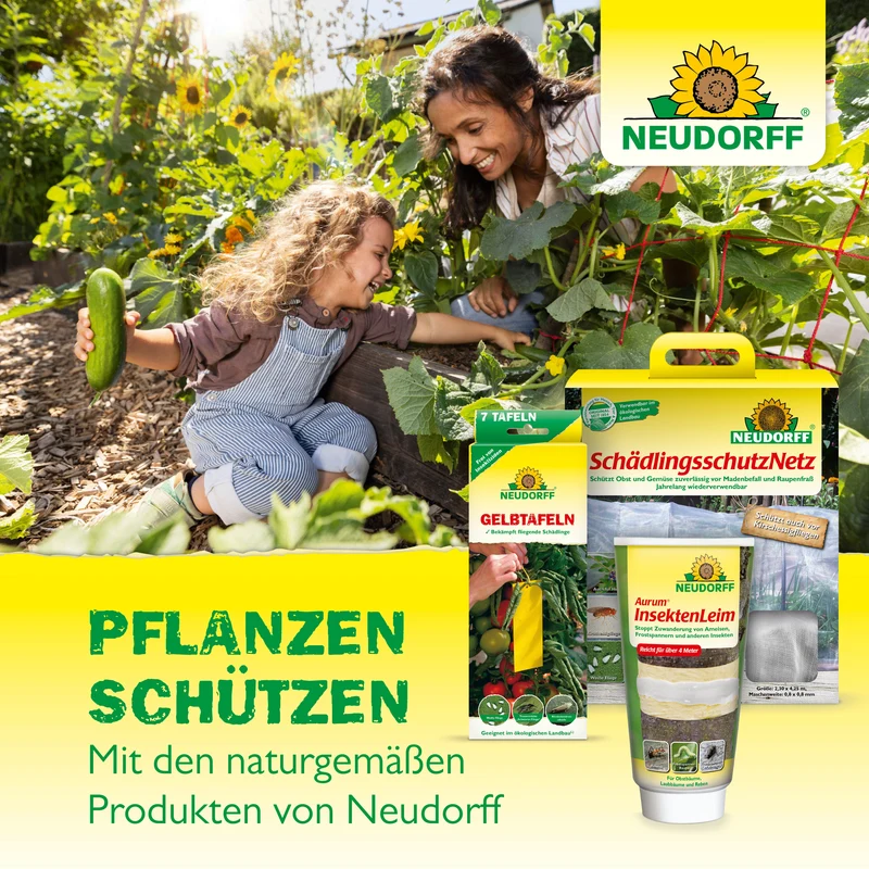 Neudorff Raupen-und AmeisenLeimring
