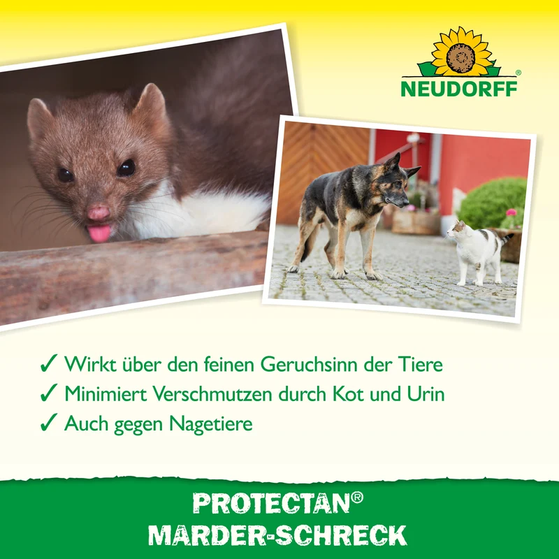 Neudorff Protectan Marder-Schreck