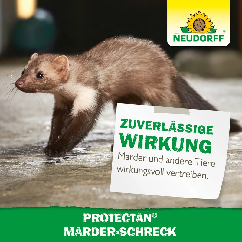 Neudorff Protectan Marder-Schreck