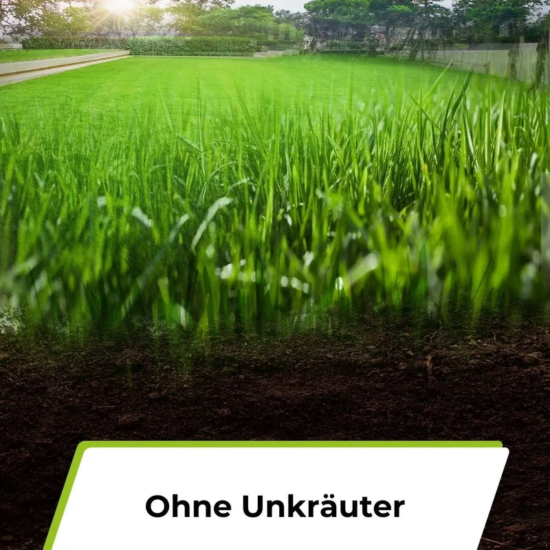 Rasenerde torffrei