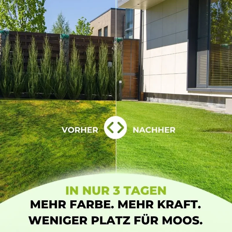 Rasendünger mit Eisen – Mooslos Glücklich