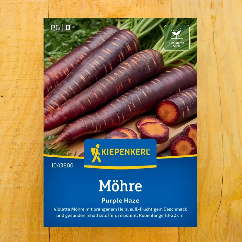 Möhre Purple Haze