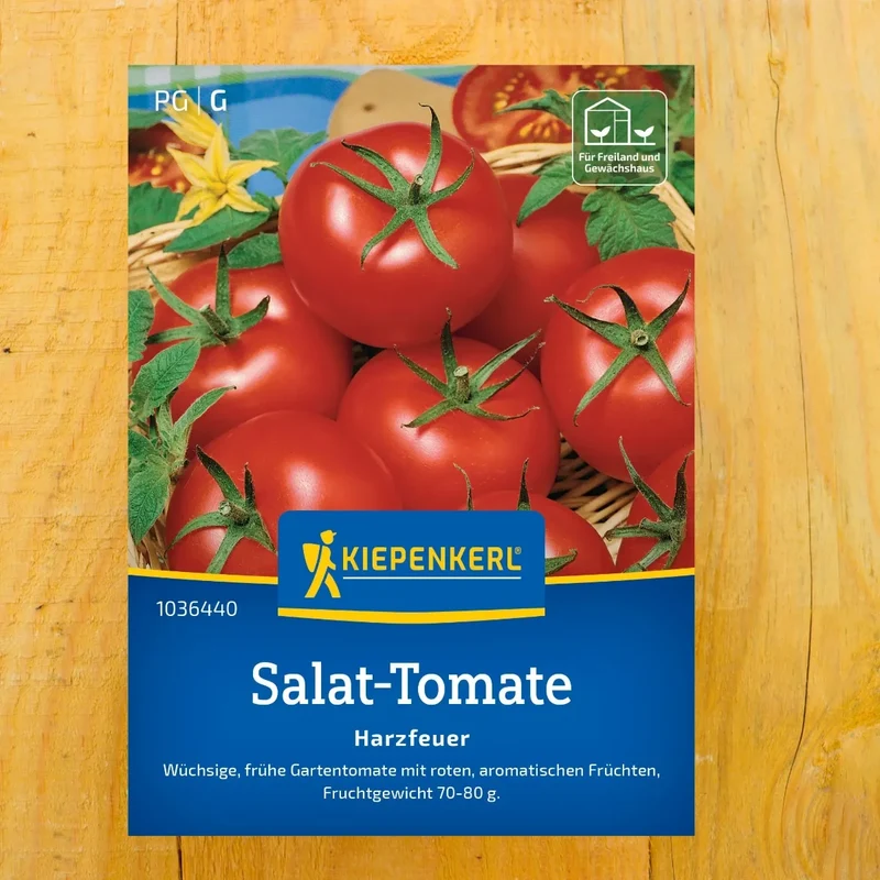 Tomate Harzfeuer