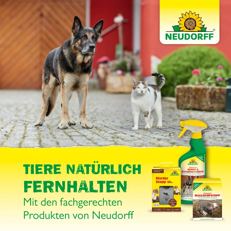Neudorff Protectan Hunde- und KatzenSchreck