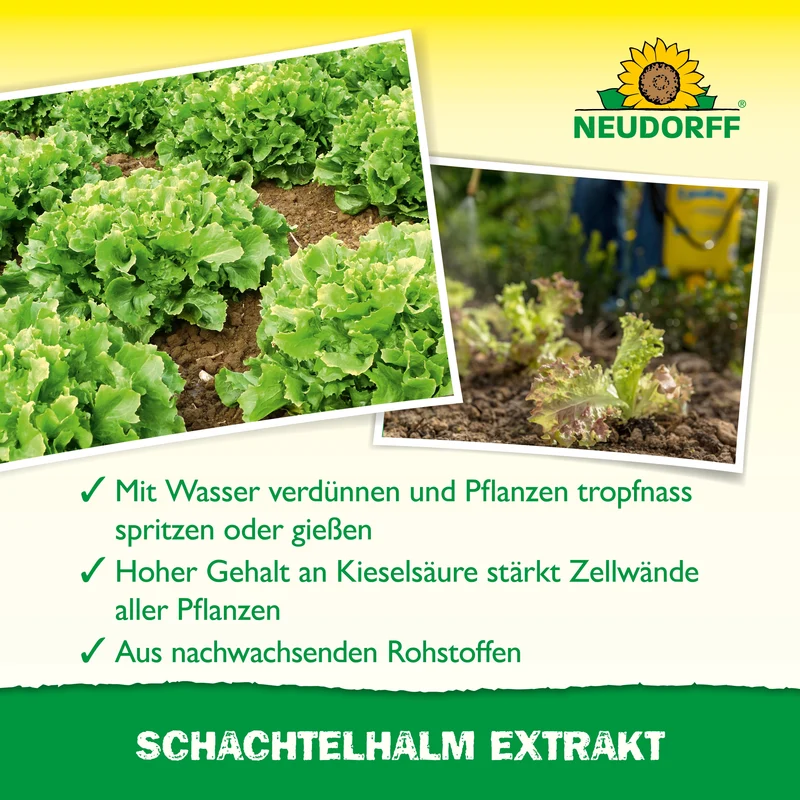 Neudorff Schachtelhalm Extrakt