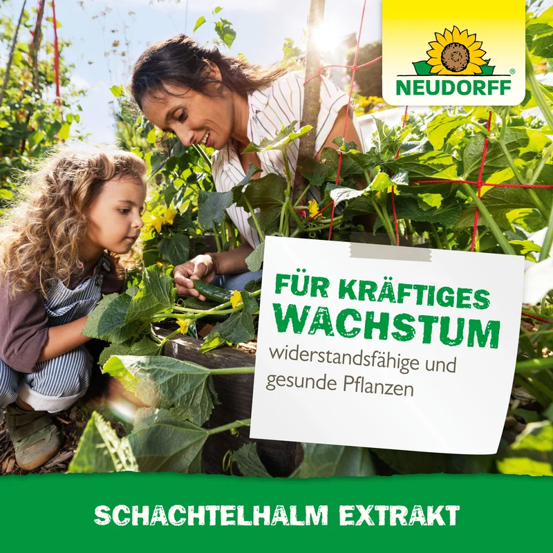 Neudorff Schachtelhalm Extrakt