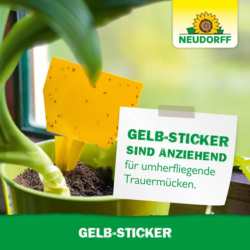 Neudorff Gelb-Sticker