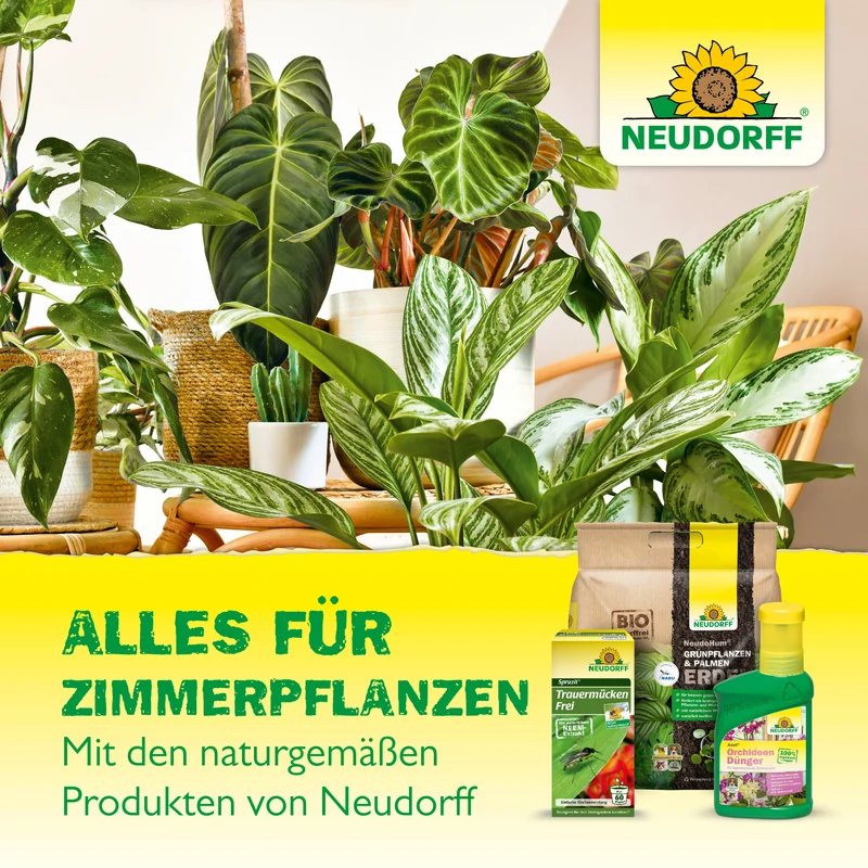 Neudorff Gelb-Sticker