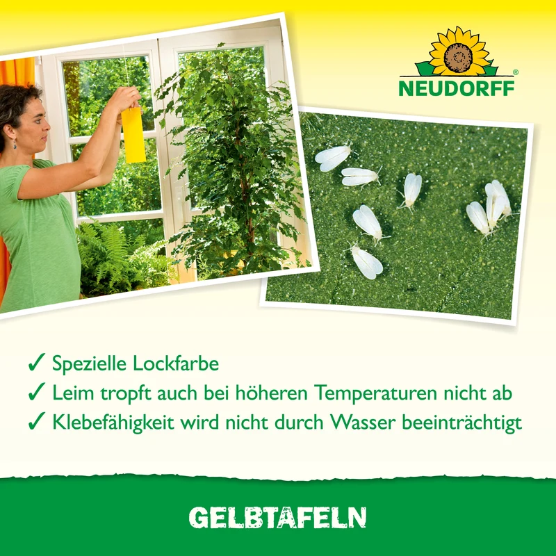 Neudorff Gelbtafeln (kleinformatig)