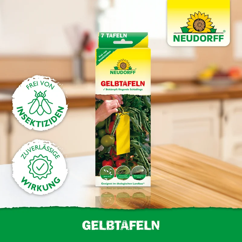 Neudorff Gelbtafeln (kleinformatig)