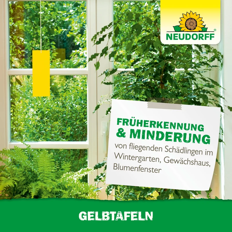 Neudorff Gelbtafeln (kleinformatig)