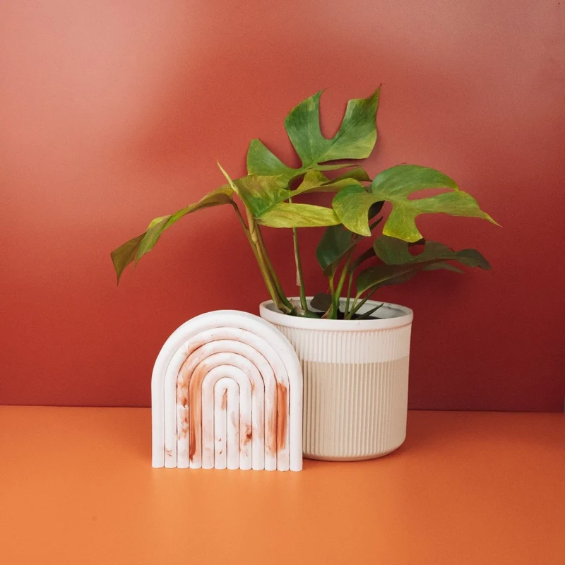MONSTERA MINIMA VARIEGATA