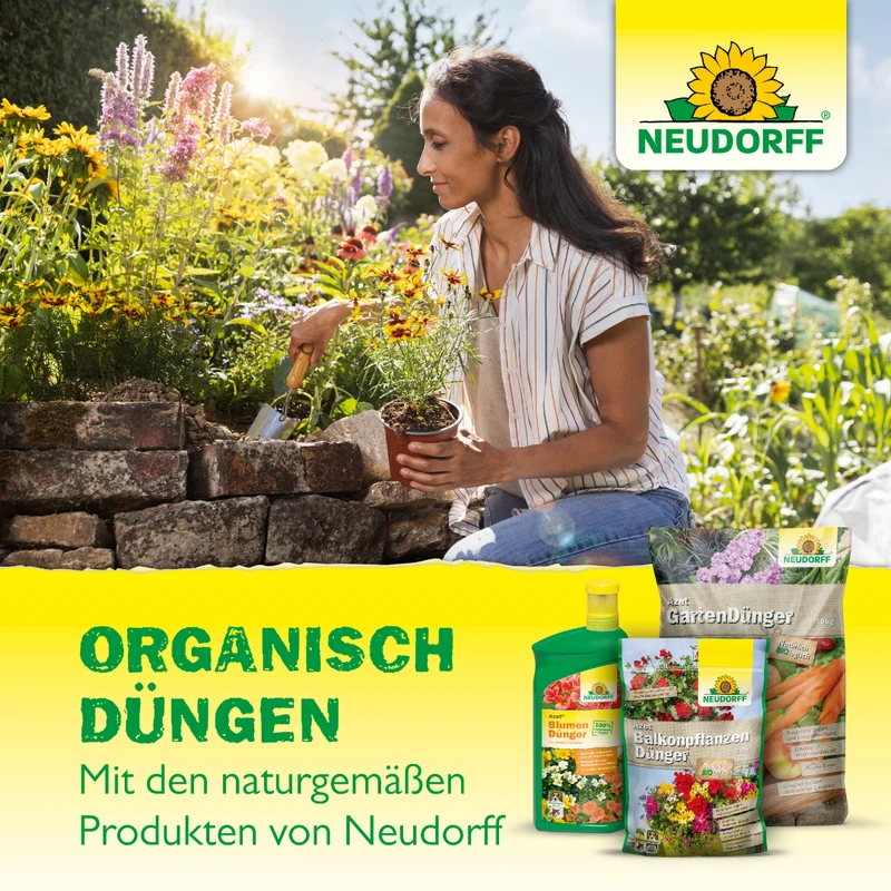 Neudorff Azet DüngeSticks für Orchideen