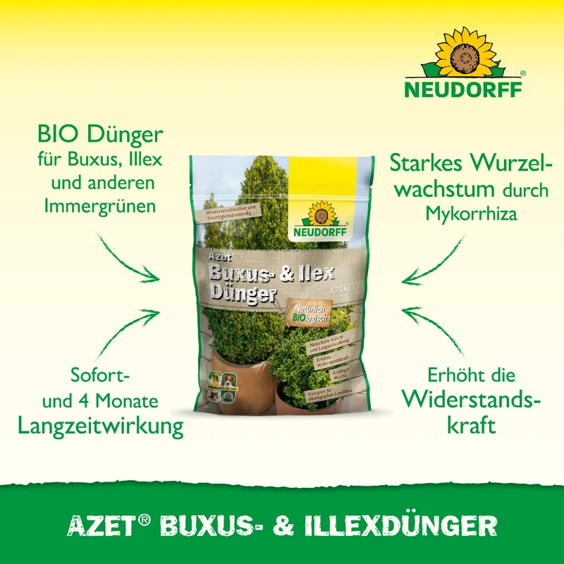 Neudorff Azet Buxus- & Ilex Dünger Groß