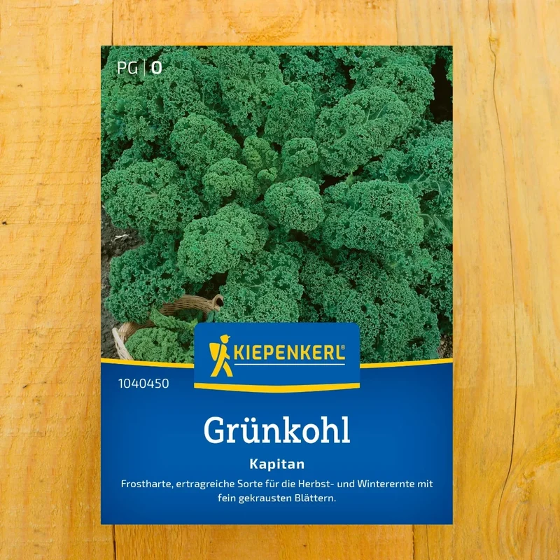 Grünkohl Kapitan