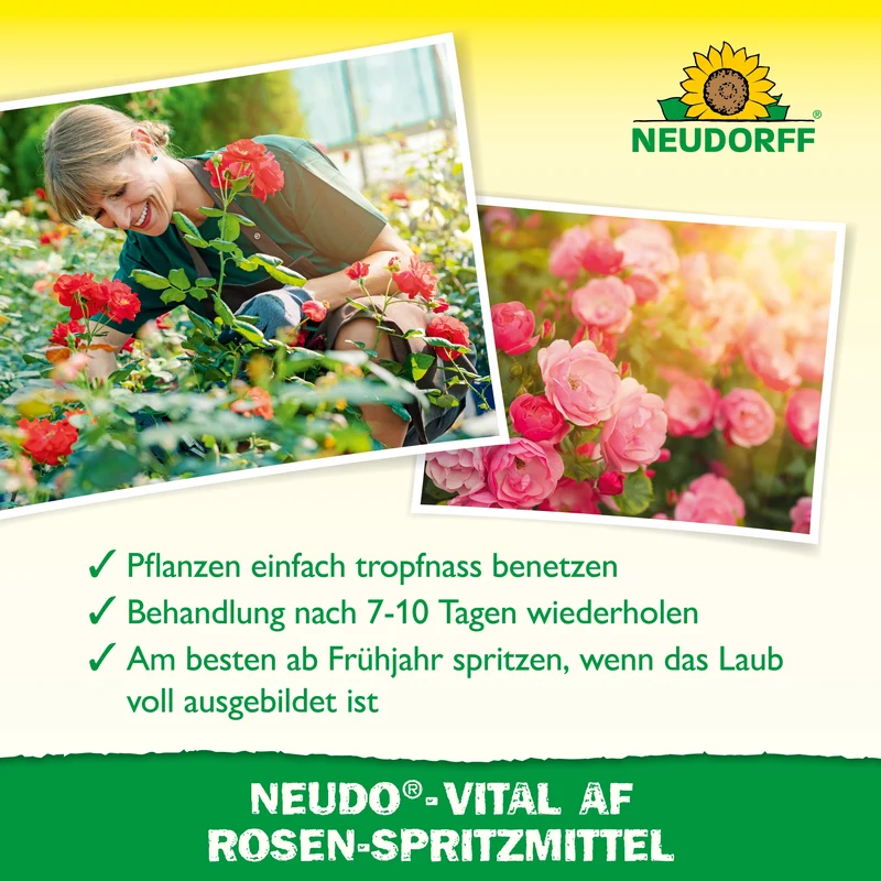 Neudorff Neudo-Vital AF Rosen-Spritzmittel