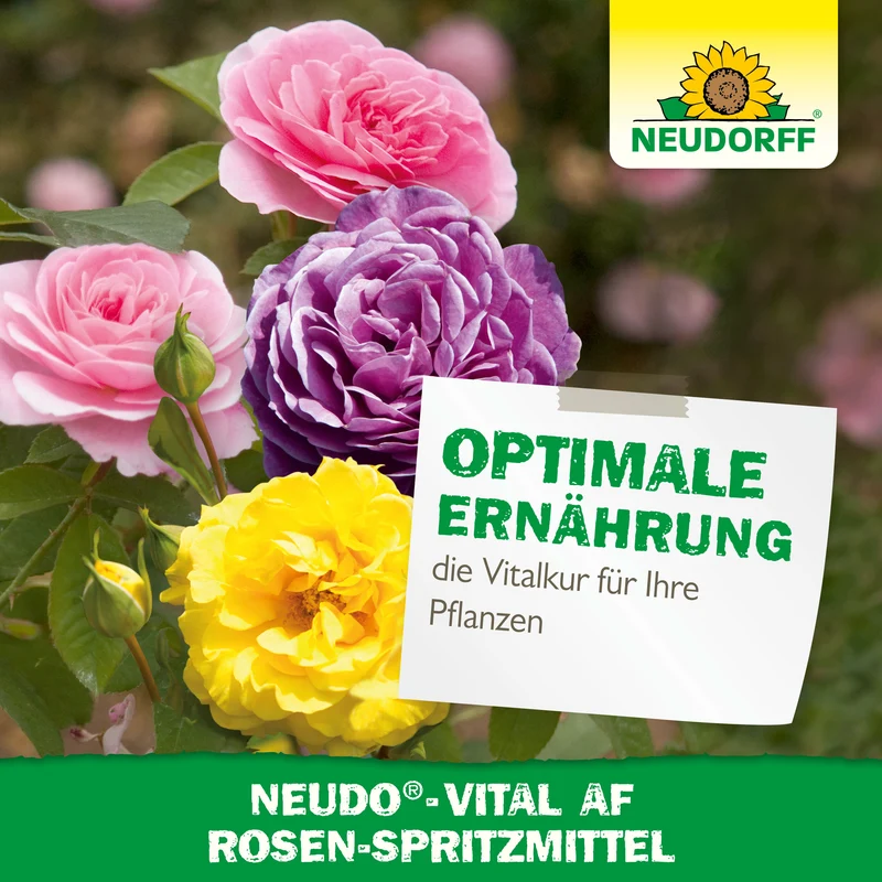 Neudorff Neudo-Vital AF Rosen-Spritzmittel