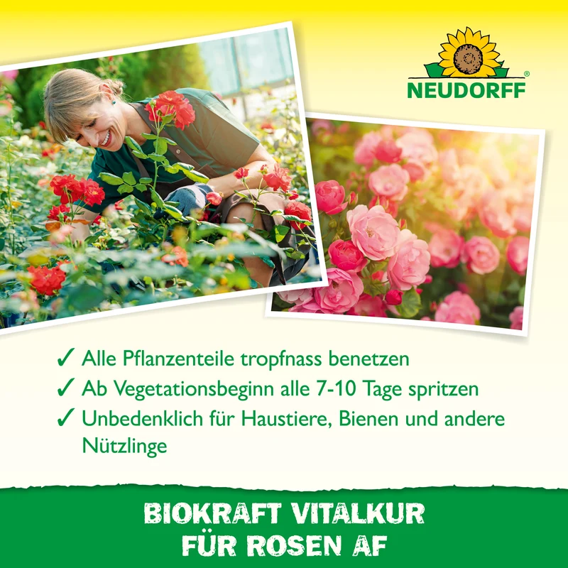 Neudorff Neudorff BioKraft Vitalkur für Rosen
