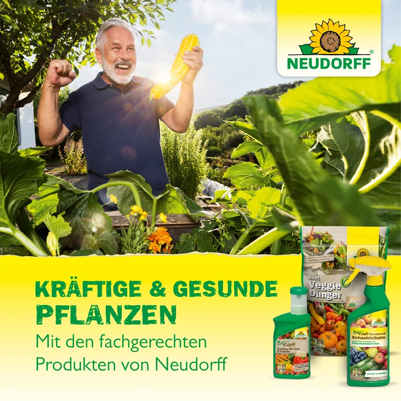 Neudorff Neudofix WurzelAktivator