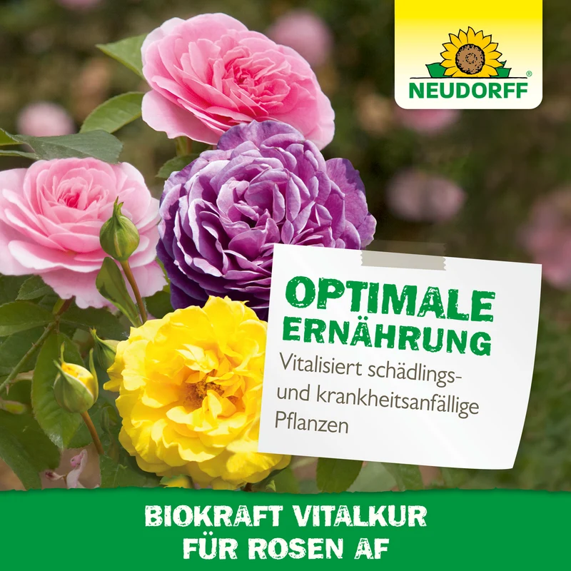 Neudorff Neudorff BioKraft Vitalkur für Rosen